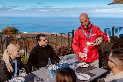 Excursión privada al Teide y Tenerife norte con comida y degustación de vinos