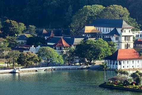 Privat dagstur kandy till nuwara eliya teplantage
