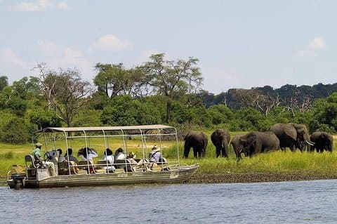 Chobe Full Day Trip