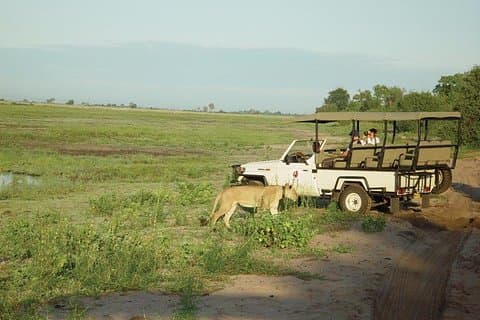 Chobe-Ganztagessafari ab Victoria Falls