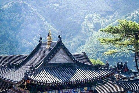 Tour flessibili privati di 2 giorni a Suzhou e Hangzhou da Shanghai con Bullet Train