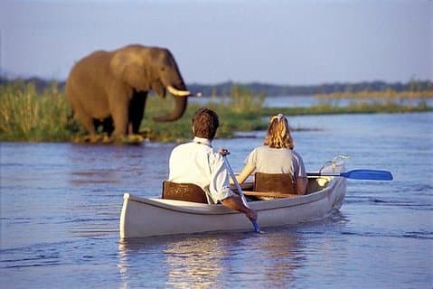 Excursion d'une journée au lac Manyara