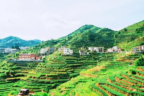 Tour privato di un giorno al più famoso Scenic Xiamen Junying Village