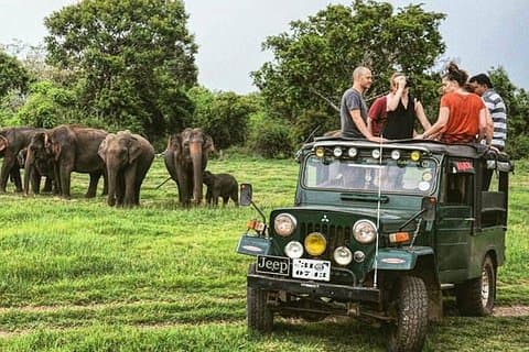 Wildlife and Nature Tour (18 dagar, 17 nätter)