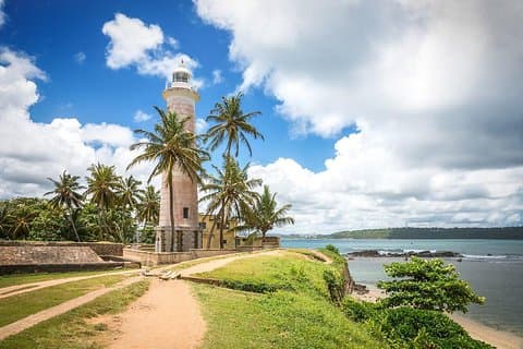Excursión de un día a Galle: Safari en barco, Fuerte holandés, pesca con palo y tortugas