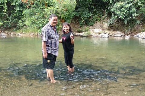 Kinabalu Park Tagesausflug