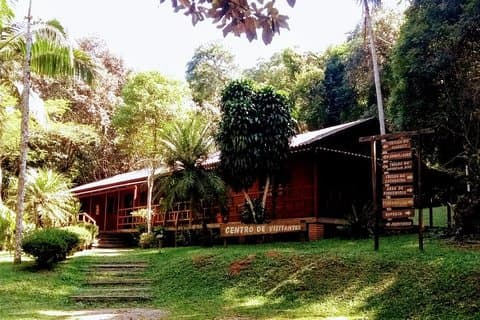 Trilha na Mata Atlântica Parque Estadual da Cantareira