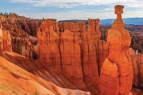 Bryce Canyon & Zion National Parks Day Tour från Las Vegas med lunch