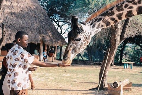 7 Tage Kenia Luxus Safaris - Masai Mara NR, Amboseli NP und Lake Nakuru NP