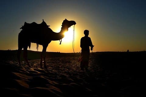 Camel Ride & Grill Middag ved Pyramiderne