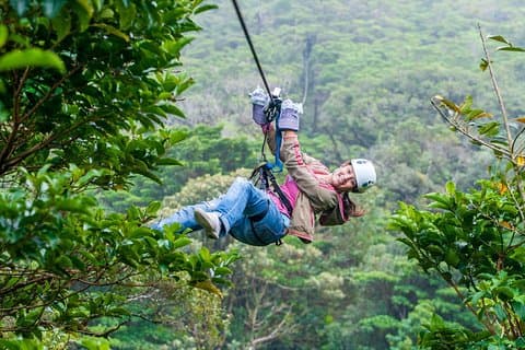 Sky Adventures Arenal : Zipline - Sky Tram & Sky Walk (guidet)