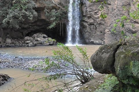 Journée au lac Nakuru avec Safari Landcruiser