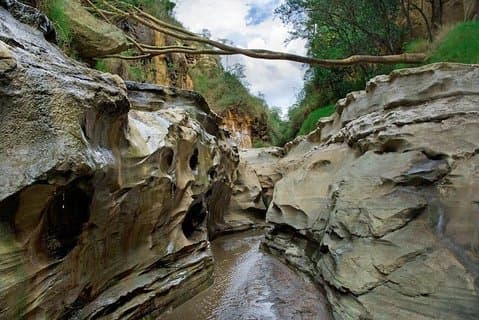 Lake Naivasha & Hell's Gate National Park Dagtur med safari-minibuss