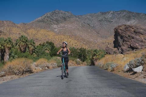 Palm Springs Indian Canyons EBike and Hike