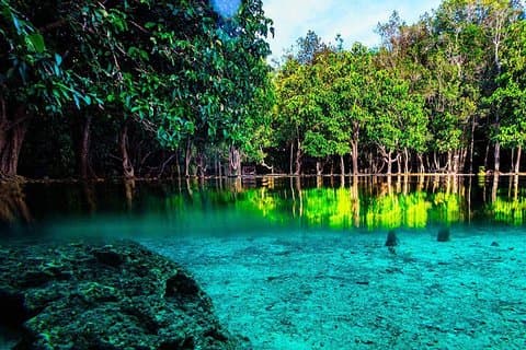 Krabi Jungle Tour med ATV Riding