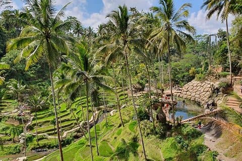 All Inclusive Ubud oplevelse