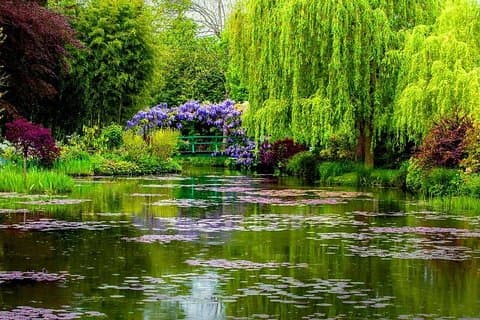 Giverny - Monet's House & Garden - Transporte Viaje privado