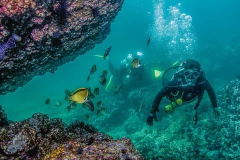 Los Arcos Scuba Dive with a 5 - Estrela Centro PADI em Puerto Vallarta