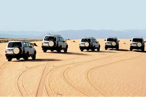 Day Trip to Mini Sahara