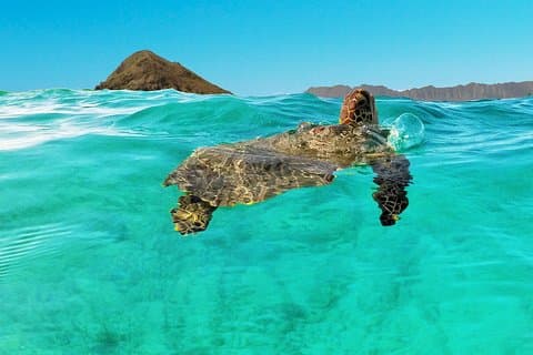 Descoberta de caiaque autoguiada em Kailua, Oahu