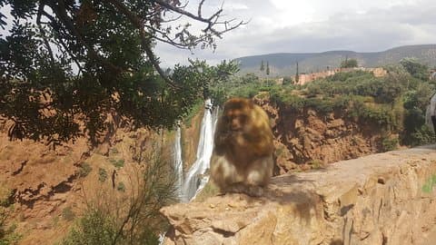 Ouzoud Waterfalls Day Trip fra Marrakech