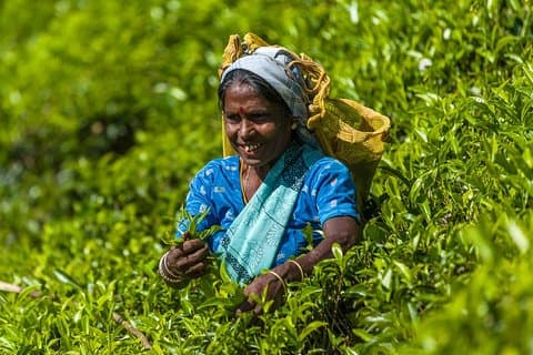 5-daagse Bangladesh tour - Dhaka - Sonargaon - Srimangal