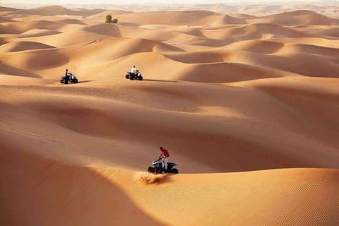 Morning Desert Safari med Quad Bike Tour Abu Dhabi