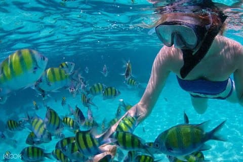 Mactan Cebu Island Hopping con pranzo - Gilutungan, Caohagan, Nalusuan