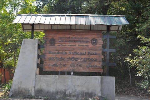 Kaudulla nationalparks entrébiljett med privat safari