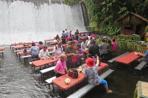 Plongez dans la culture : expérience de la plantation de noix de coco de la Villa Escudero