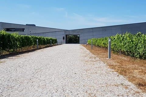 Dão Vinregion: Portugisisk version på Bordeaux