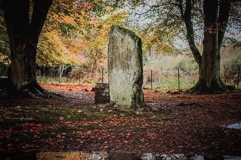 Glen Affric & Culloden-tur fra Inverness inklusive entré