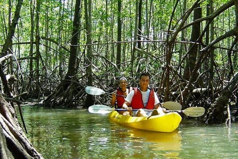 Damas Island kajak tur fra Manuel Antonio