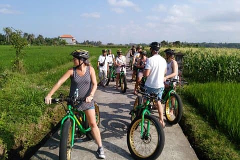 Visite privée des rizières en terrasses Ubud