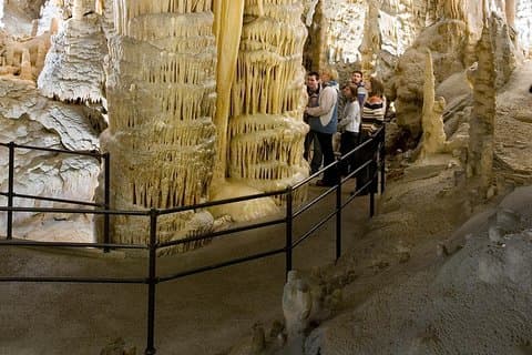 Group tour to Postojna Cave from Koper - with unique cave train