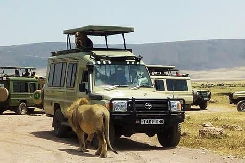 Gita di un giorno al cratere di Ngorongoro da Arusha