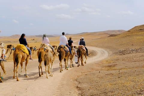 Marrakesh-dagstur fra Casablanca med kameltur og frokost i Agafay-ørkenen
