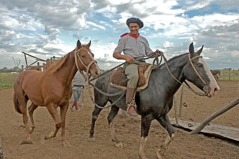 Excursion privée à San Antonio de Areco: village et Estancia
