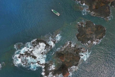Charter privado dia inteiro em torno de Lanai 3 Paradas de snorkel 7 Hrs