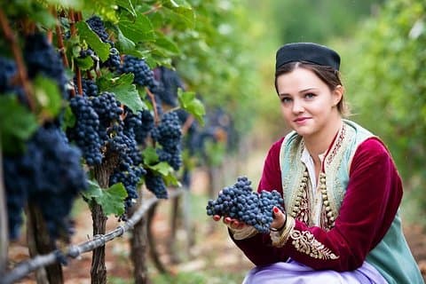 Crmnica Wine Road and Skadar Lake Cruising Tour