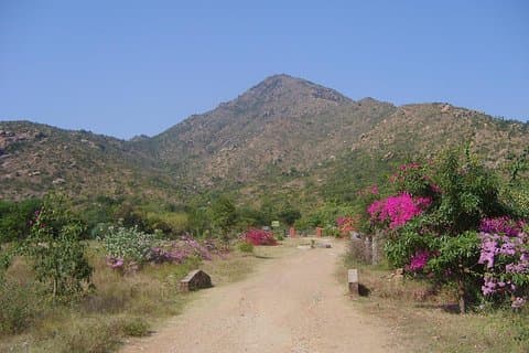 Tiru Arunachala turer - Tiruvannamalai turguide