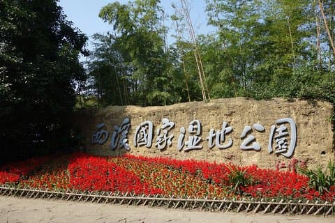 Journée écologique privée à Hangzhou, y compris le parc national des zones humides de Xixi
