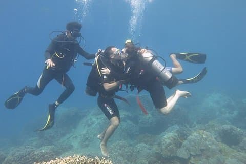 Descubra la bahía de Nha Trang con un tour de buceo