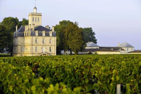 Privat heldags vingårdstur fra Bordeaux med hotel afhentning og aflevering