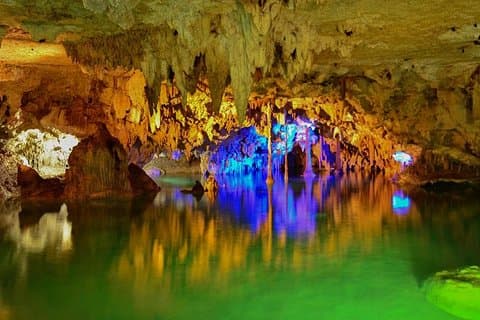 Schildpadden en Cenote van Riviera Maya