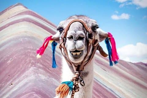 Rainbow Mountain - Vinicunca (Day Trip)