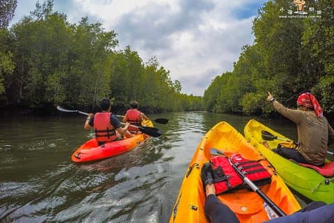 Excursion en kayak dans la mangrove à Langkawi