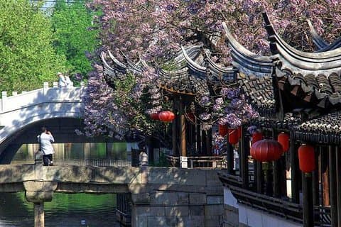 Excursión privada de escala a Shanghai a la ciudad de agua de Nanxiang con baños termales