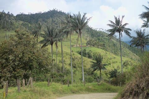 Salento, Wiege der Wachspalme, Carbonera Wanderung