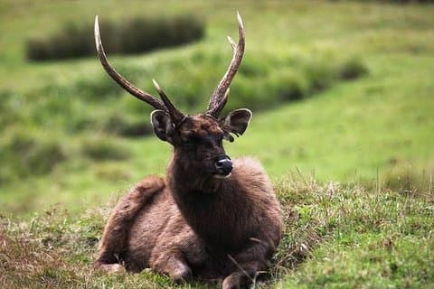 Natuur Tour